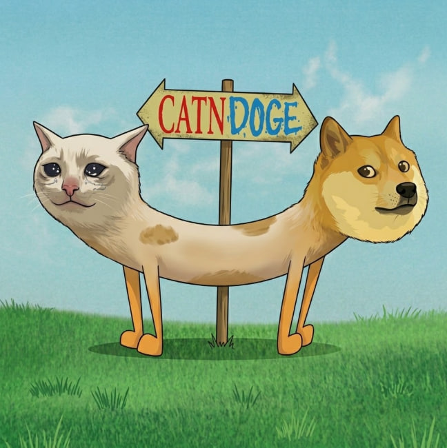 CATnDOGE logo